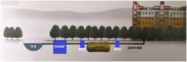 1545377791475954.jpg 14.JPG