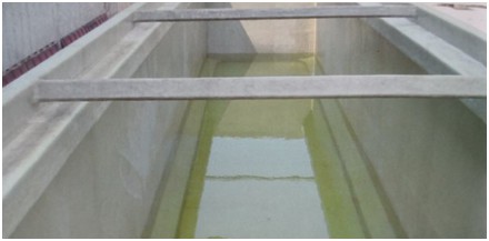 1545377942269166.jpg 21.JPG